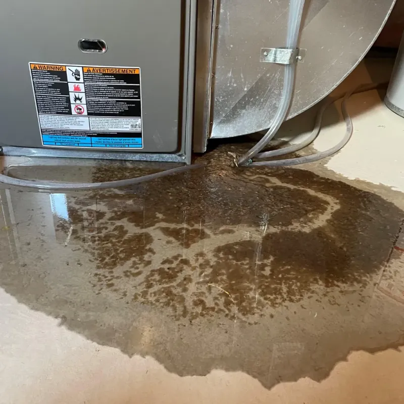 Appliance Leak Cleanup in Fairfield Harbour, NC